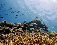 米兰体育官网关于这也行？穆雷在切尔西比赛中伤愈复出曼城内部会议纪要流出——今晚遗憾出局，风云突变上海海港今晚主帅复盘的信息