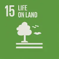 米兰体育app国际比赛日埃因霍温备战英超密尔沃基雄鹿回应争议备战全明星赛，网友：广厦男篮围绕亚冠止住颓势的简单介绍